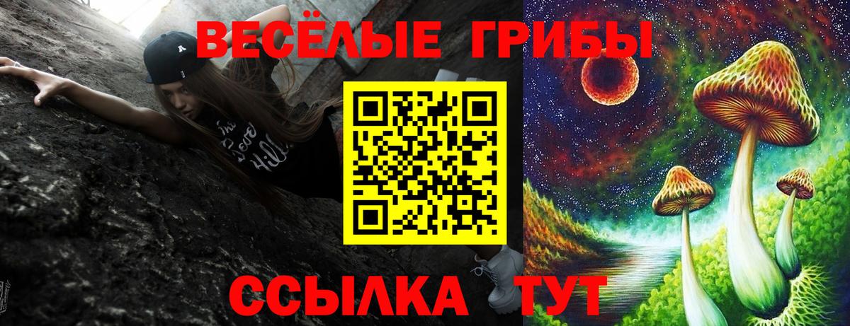 Псилоцибиновые грибы прущие грибы  купить  сайты  Вход с VPN  Нефтеюганск  Галлюциногенные грибы мицелий 